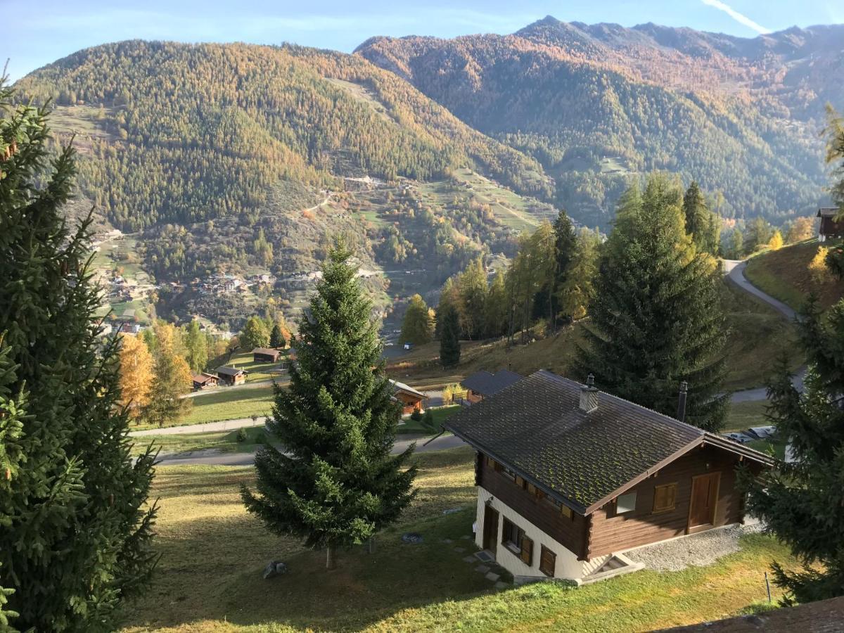 Chalet Le Fertin